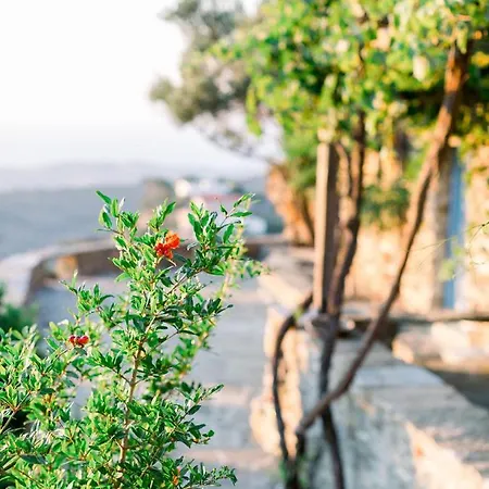 Lefkothea With Sea View & Private Pool - 250m2 In Ioulida, Kea Βίλα Ioulis